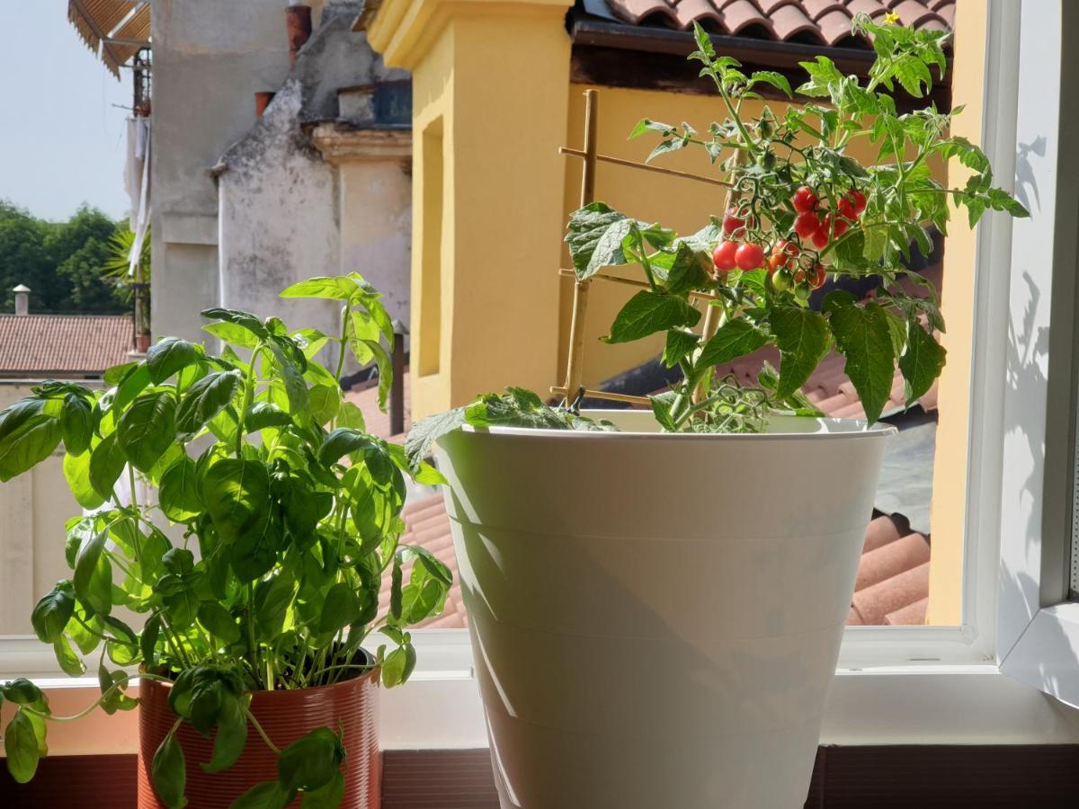 Romantica Mansarda Nel Cuore Di Torino Ngoại thất bức ảnh