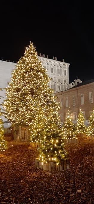Romantica Mansarda Nel Cuore Di Torino Ngoại thất bức ảnh